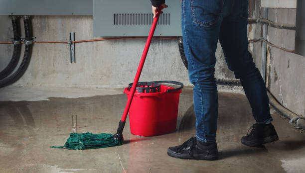Best Water damage restoration near me  in Wilsonville, AL