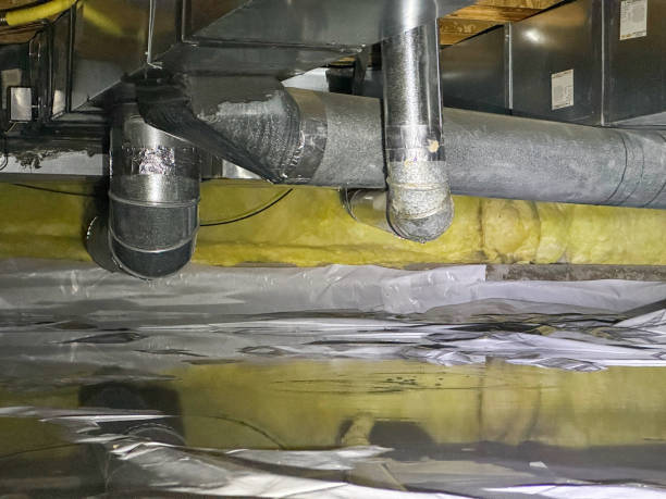 Best Professional water damage repair  in Wilsonville, AL