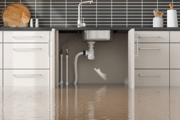 Best 24/7 water damage repair  in Wilsonville, AL