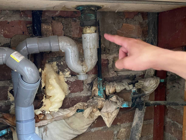 Trusted Wilsonville, AL Water damage restoration Experts