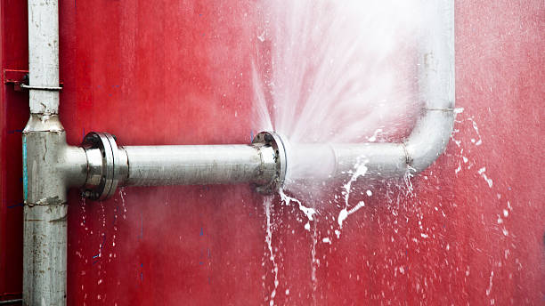 Water damage restoration mold remediation in Wilsonville, AL